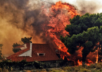 استمرار حرائق الغابات باليونان و السلطات تكافح لإخمادها