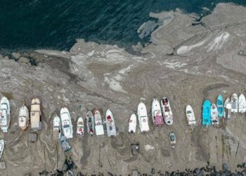 صمغ البحر يهدد جزيرة ليمنوس اليونانية