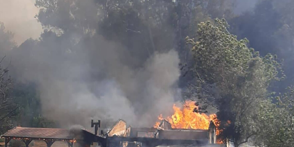 مساعدات أوروبية إلي قبرص لاحتواء حريق غابات ضخم