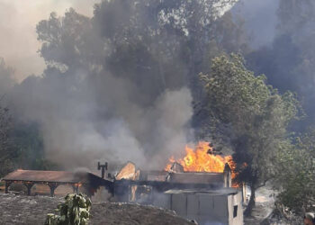 مساعدات أوروبية إلي قبرص لاحتواء حريق غابات ضخم