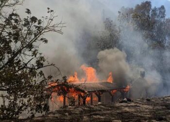 مساعدات أوروبية إلي قبرص لاحتواء حريق غابات ضخم